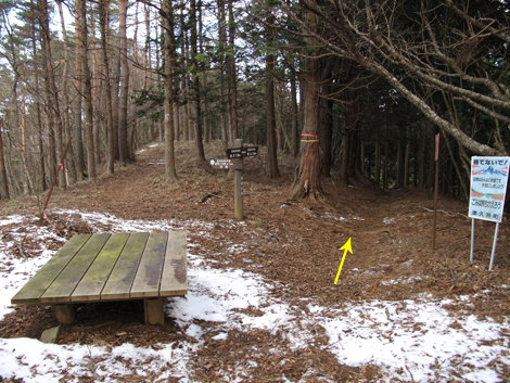 20181214hike (493)